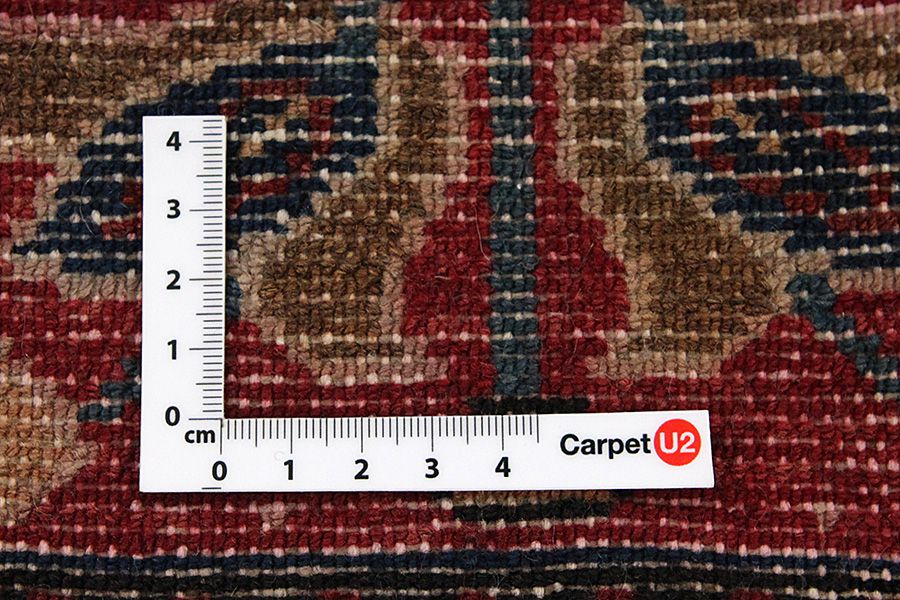 Bakhtiari - Garden Perzisch Tapijt 297x167 - Afbeelding 3
