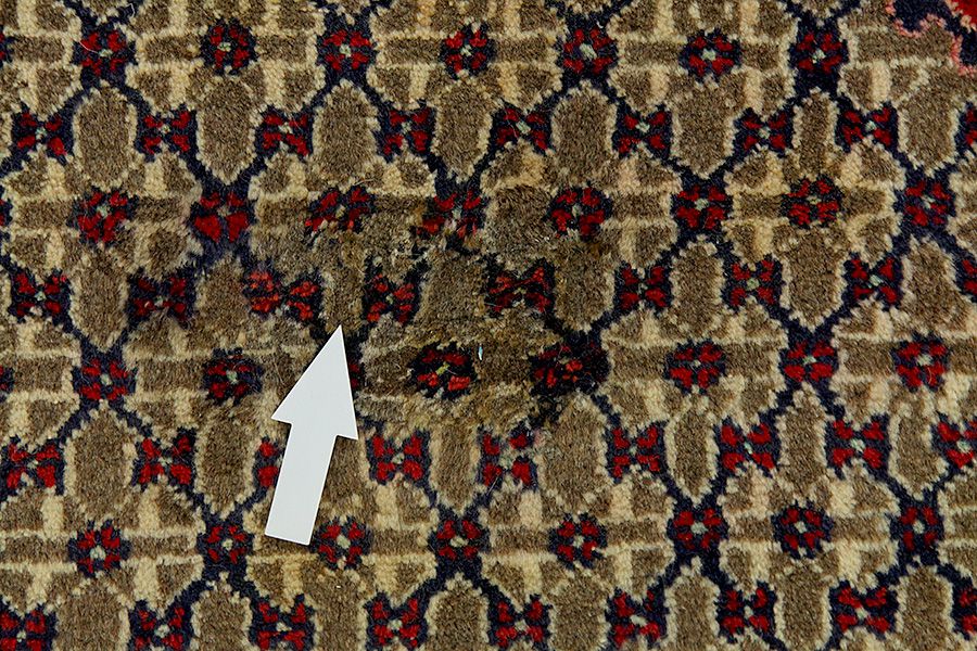 Songhur - Koliai Perzisch Tapijt 315x156 - Afbeelding 8